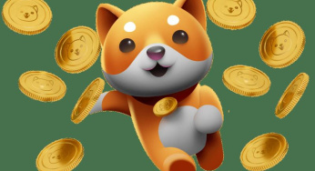“Mengapa Baby Doge Coin Semakin Populer?”
