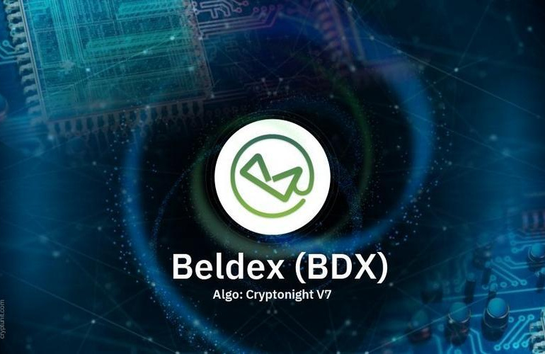 Beldex (BDX)Dephin