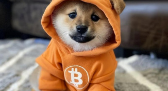 Investasi Cerdas: Keajaiban Dog (Runes) (DOG) di Blockchain