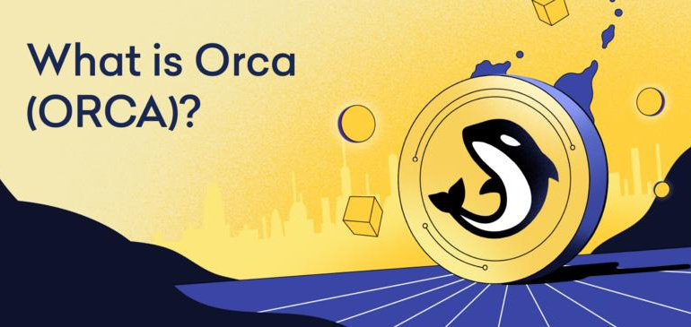 Orca (ORCA)Solanaeco