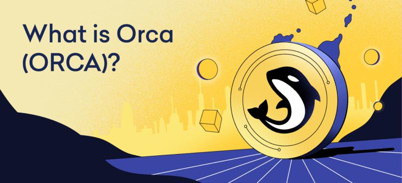 Orca (ORCA)Solanaeco