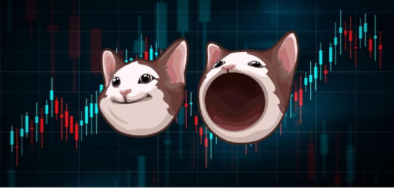 Popcat (SOL) (POPCAT)Meme