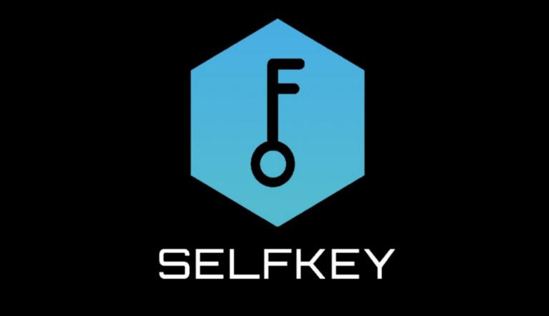 SelfKey (KEY)AI