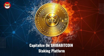 “ShibaBitcoin (SHIBTC): Inovasi Baru di Dunia Kripto”