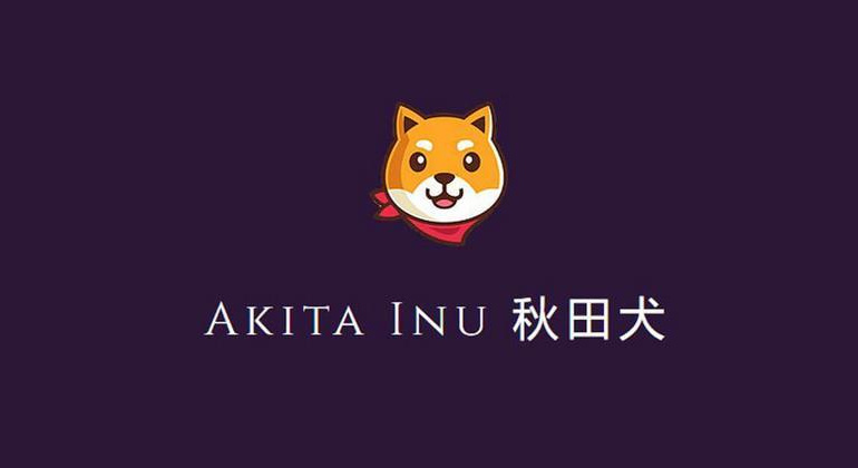 Akita Inu (AKITA)Meme