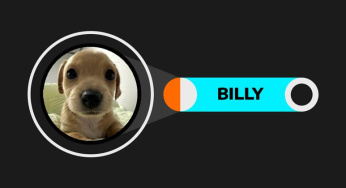 “Kenali Potensi Billy (BILLY): Inovasi di Dunia Crypto”