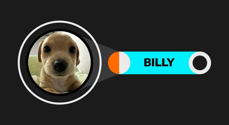 Billy (BILLY)Solanaeco