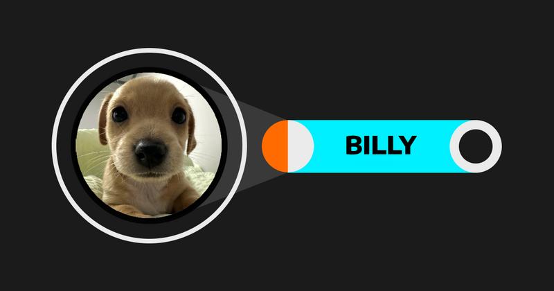 Billy (BILLY)Solanaeco