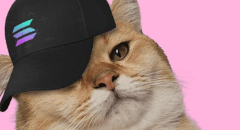 “CatSolHat (SOLCAT): Peluang Investasi Baru di Dunia Crypto”