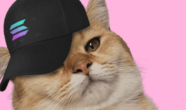 CatSolHat (SOLCAT)Solanaeco