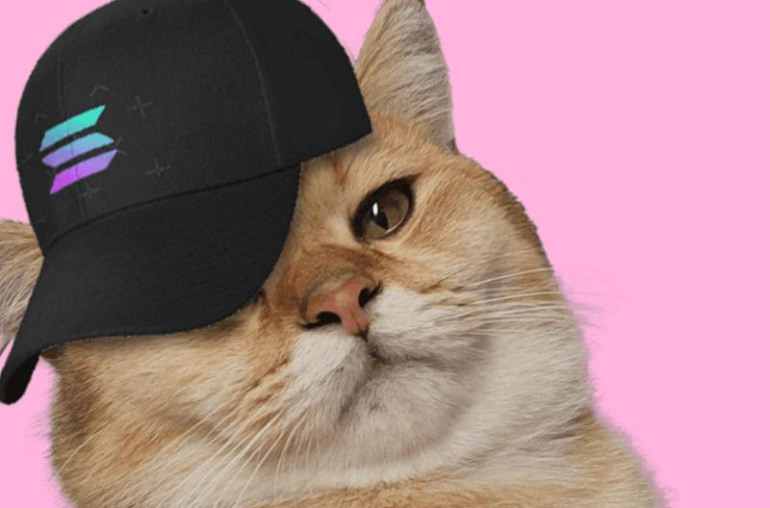 CatSolHat (SOLCAT)Solanaeco