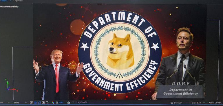 Department Of Government Efficiency (dogegov.com) (DOGE)Meme
