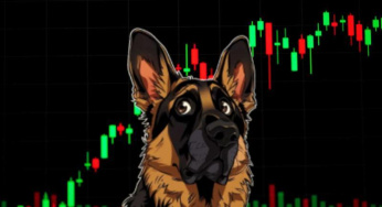 Penemuan Baru dalam Dunia Crypto: Mengenal HUND Coin!
