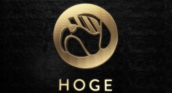 “HOGE Finance: Peluang Investasi Meme Coin Berpotensi Tinggi”