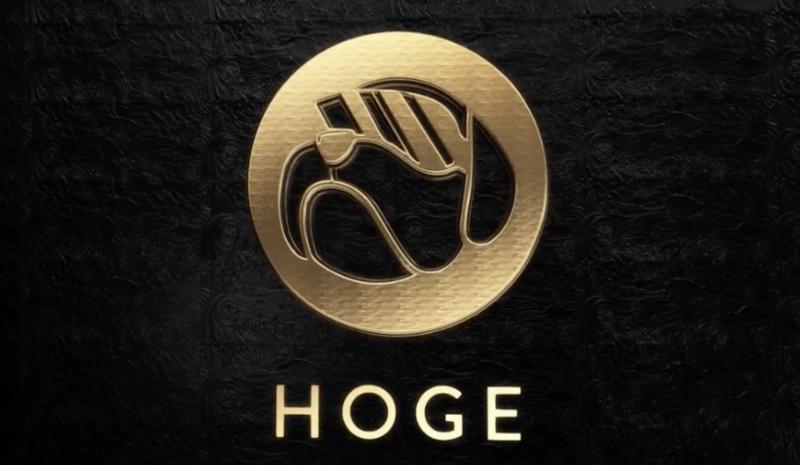 Hoge Finance (HOGE)Meme