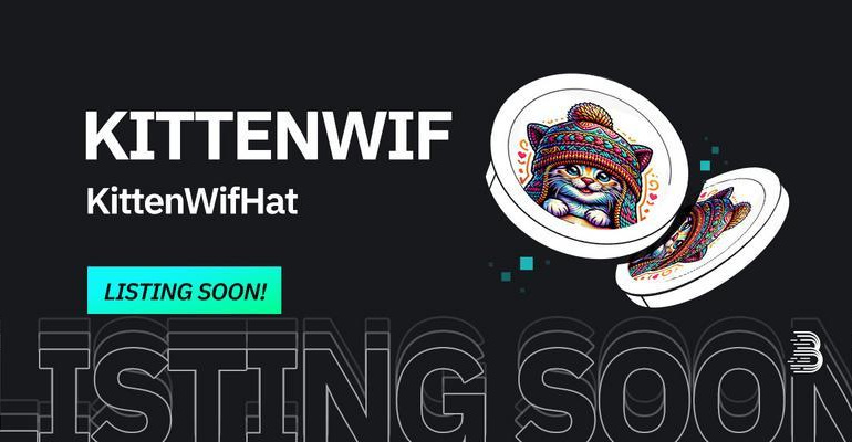 KittenWifHat (KITTENWIF)Solanaeco