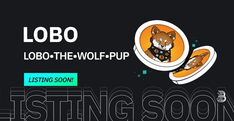 LOBO•THE•WOLF•PUP (LOBO)Meme