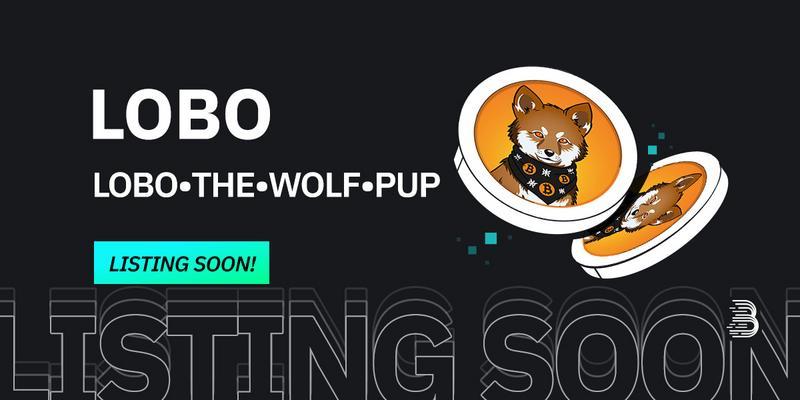 LOBO•THE•WOLF•PUP (LOBO)Meme