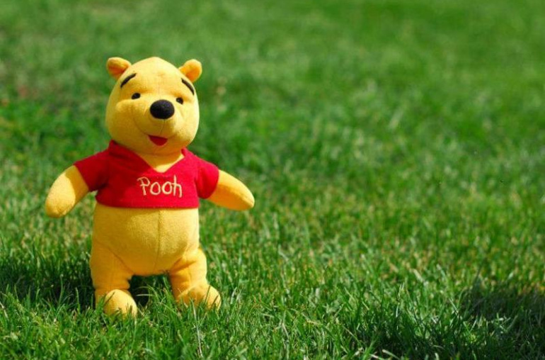 POOH (POOH)Meme