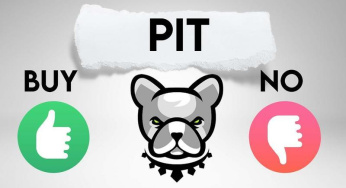 Pitbull (PIT): Inovasi Baru di Dunia Crypto