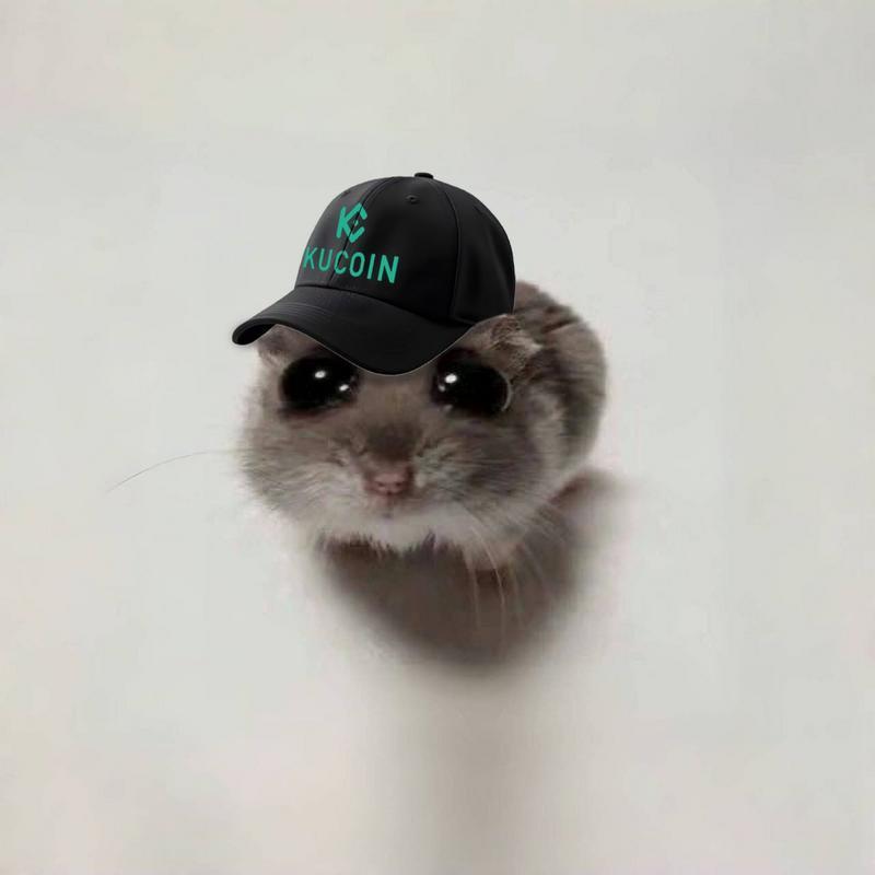 SAD HAMSTER (HAMMY)Meme