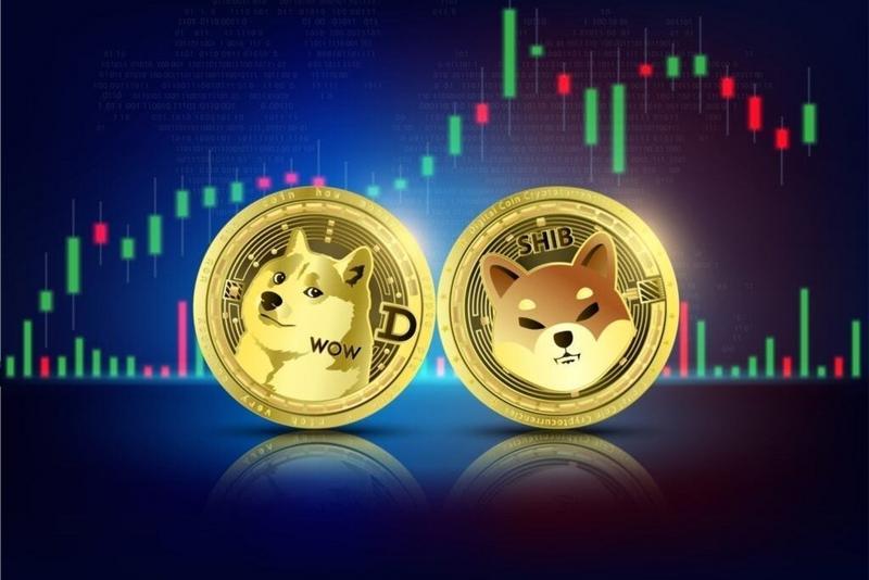 Dogecoin Naik 3%, Shiba Inu Naik 4%: Ada Apa yang Terjadi?
