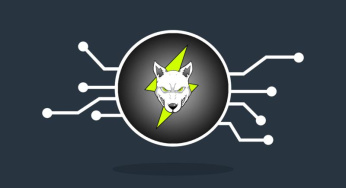 Mengenal Volt Inu: Inovasi Terbaru di Dunia Crypto