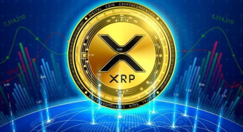 Eksklusif: Berapa Persen Investor yang Melewatkan XRP Kini Membeli Saat Harga Turun?