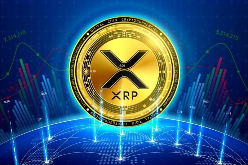 Eksklusif: Berapa Persen Investor yang Melewatkan XRP Kini Membeli Saat Harga Turun?